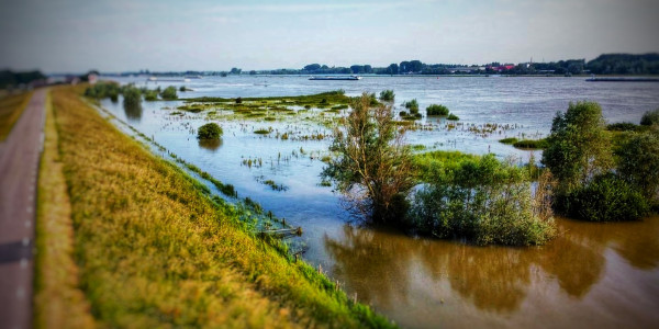 Zaltbommel Dorpen Oost