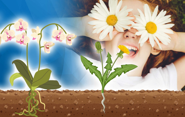 De pedagogische context van gezinnen